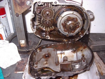 IMGP8158.JPG
