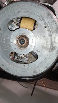 IMG_20250305_202434.jpg