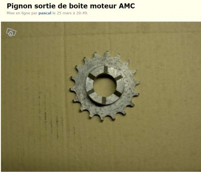 Sans titre 1.jpg